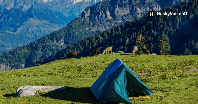 🧳 Travel & Consumers: How to Use a Real-Time Translator in India Without Installing an App